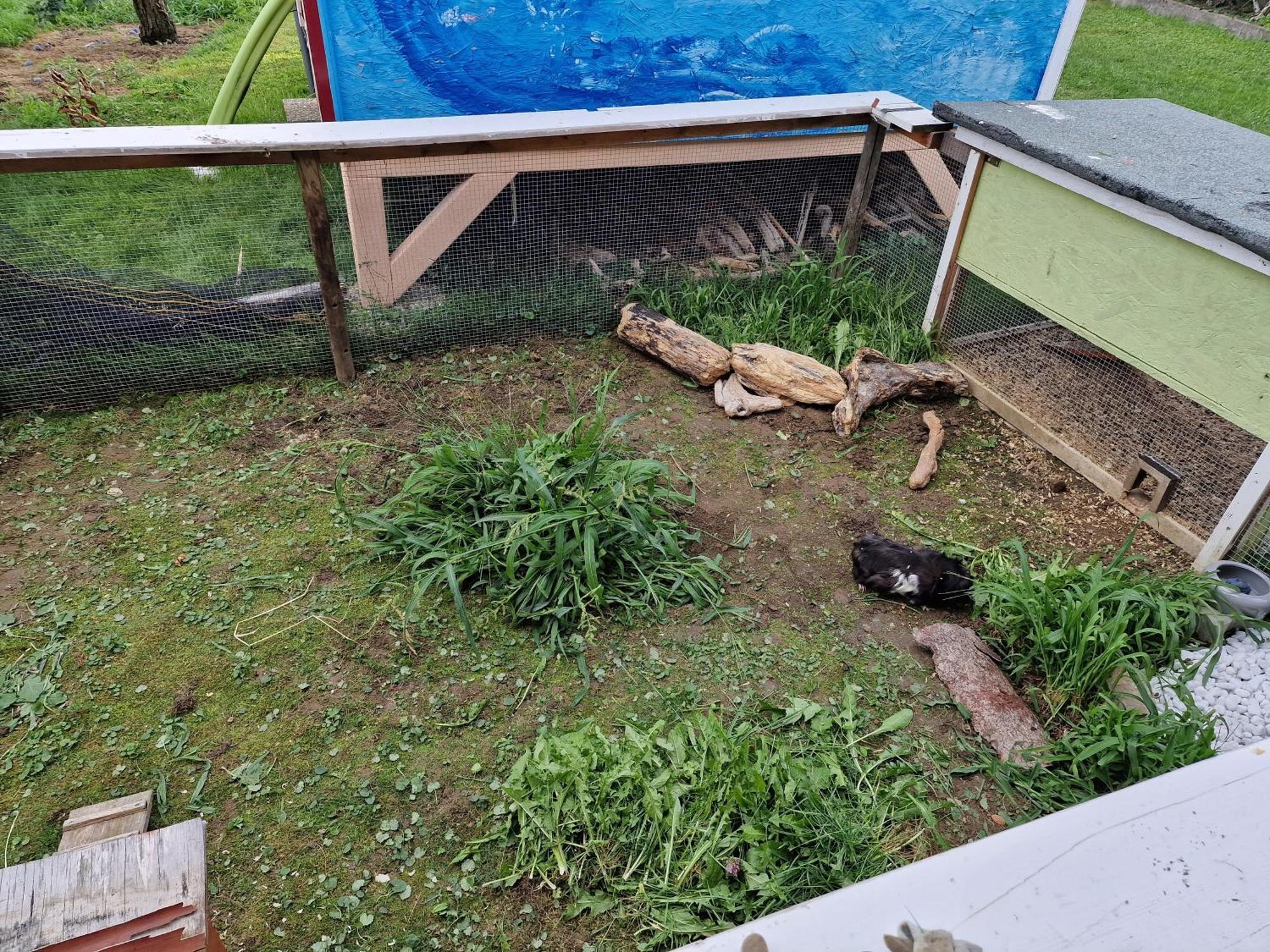 Ferienwohnung Ingrid Kressbronn am Bodensee Buitenkant foto